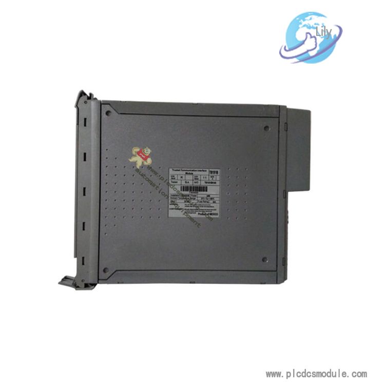 T8151B..jpg