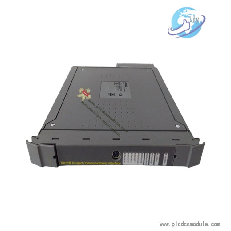T8151B.jpg