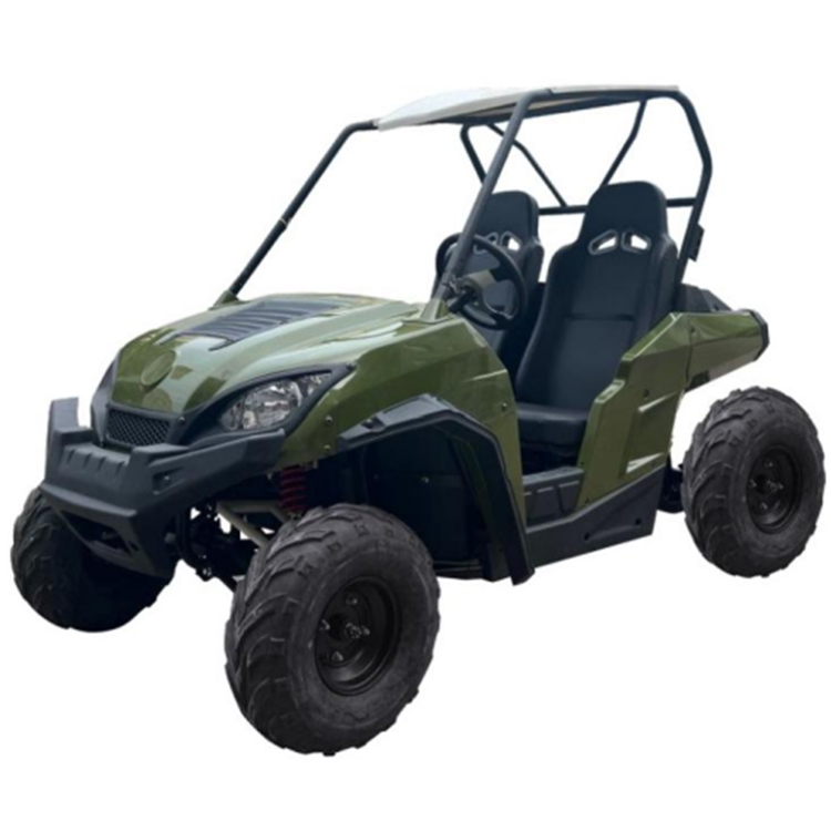 200CC Dual Wild Platen WY-GA005 Beach Buggy Karting Farmer ATV