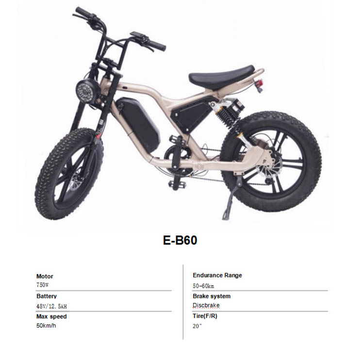 E-B60..jpg