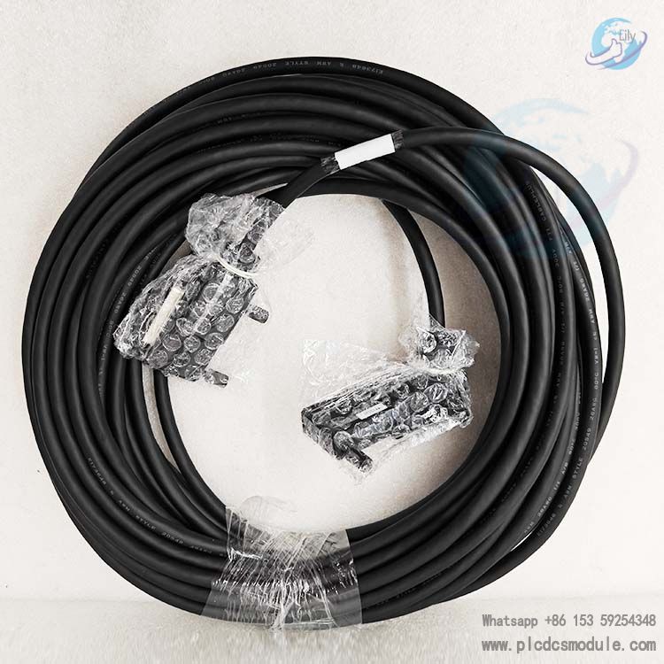 FOXBORO P0916DG dedicated cable.jpg
