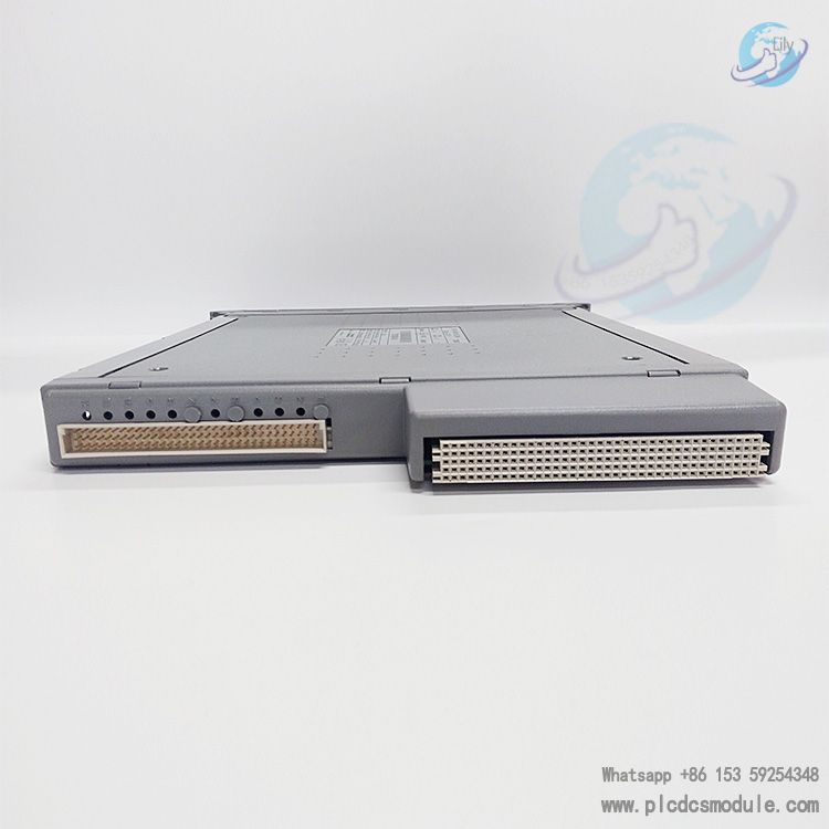 T8461.....jpg