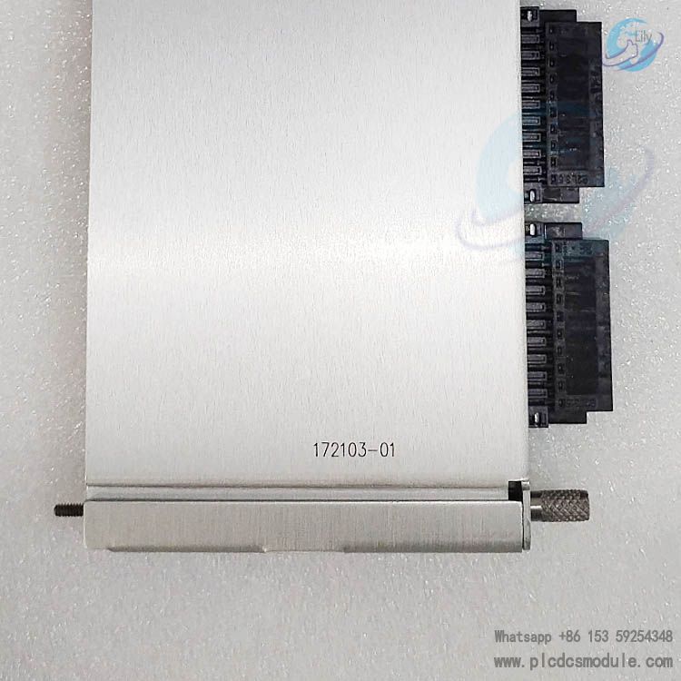 Bently Nevada 172103-01(350065) RTD Isolated Tip TC IO Module