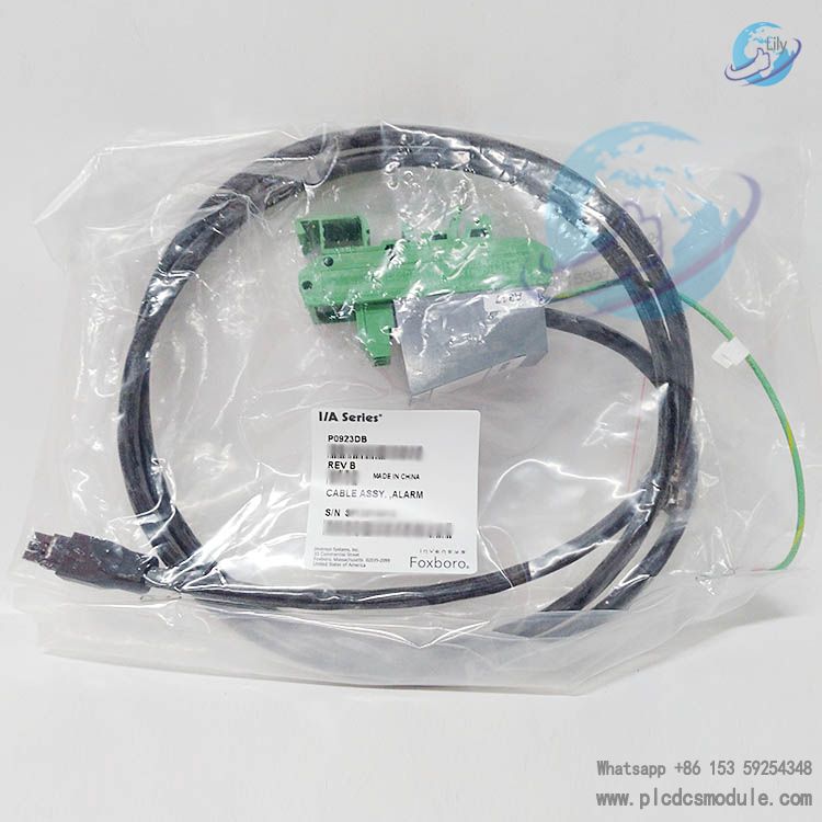 FOXBORO P0923DB CABLE ASSY.jpg