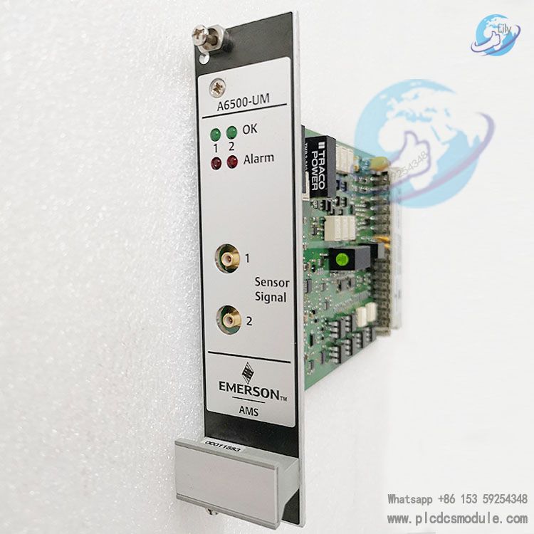 EMERSON A6500-UM Universal Measurement Card....jpg