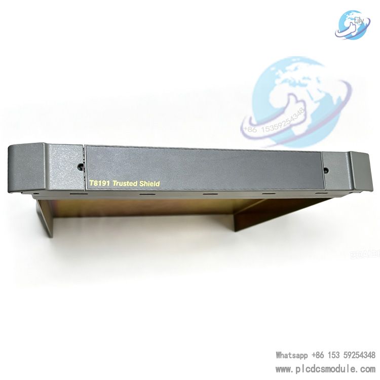 ICS Triplex T8191 Trusted Single Slot Width Shield 6 Units..jpg