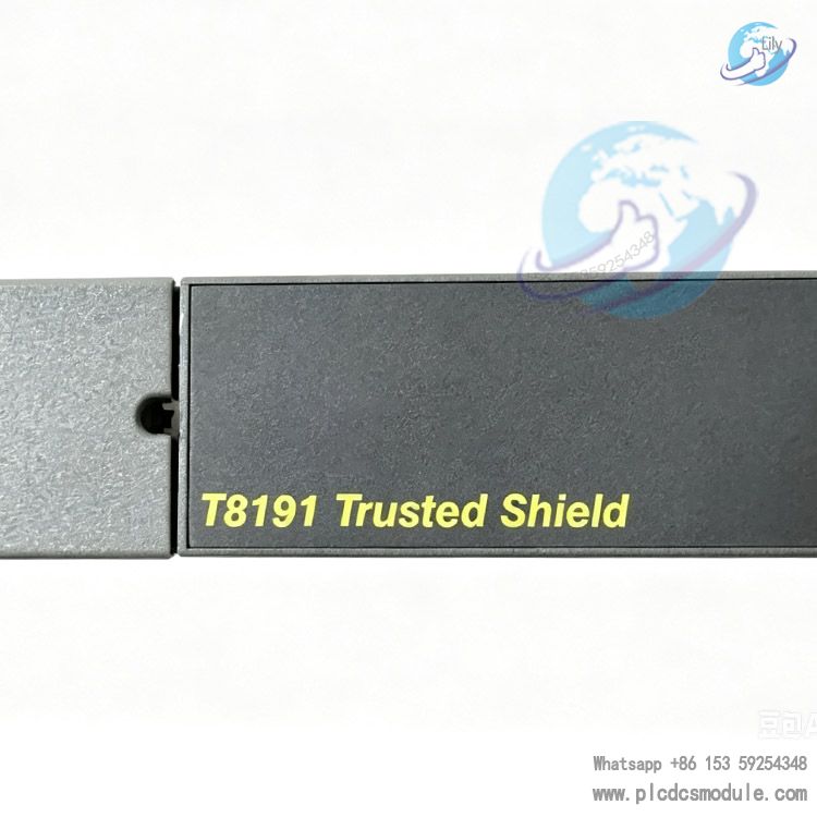 ICS Triplex T8191 Trusted Single Slot Width Shield 6 Units.jpg