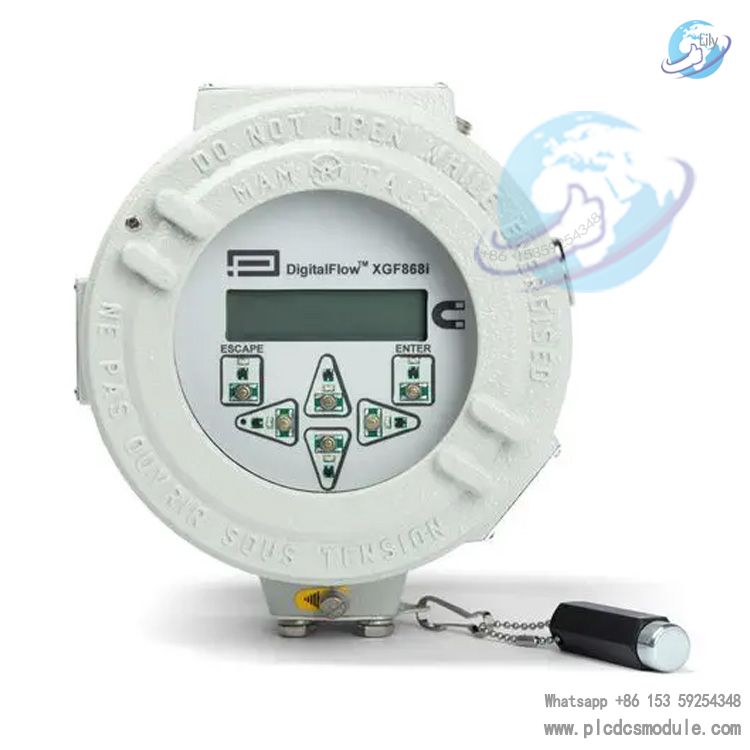 DigitalFlow XGF8681-21-OIM-34-0 Flare Gas Mass Flow Ultrasonic Transmitter.jpg