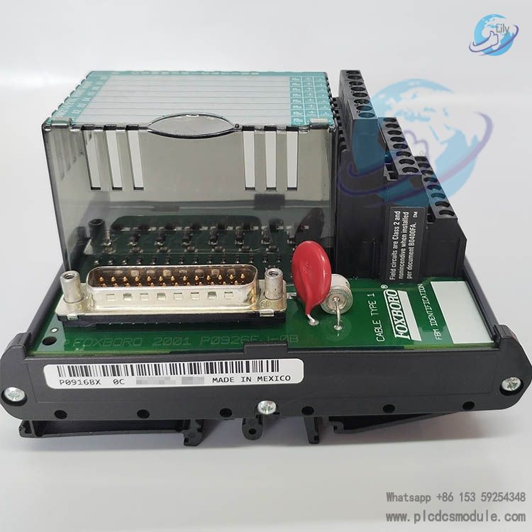 FOXBORO P0916BX Termination Assembly(1).jpg