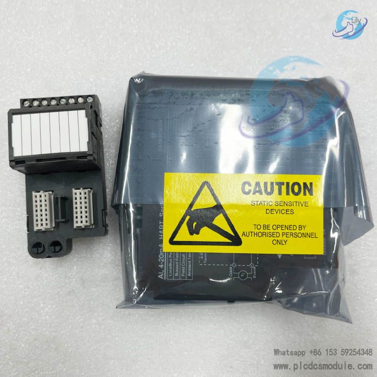 EMERSON VE4005S2B1 Standard IO Termination Block(1).jpg