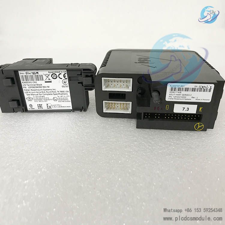 EMERSON VE4005S2B1 Standard IO Termination Block(5).jpg